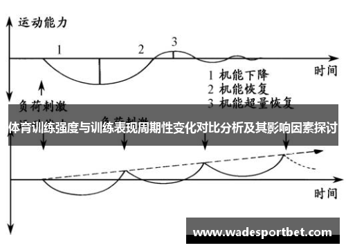体育训练强度与训练表现周期性变化对比分析及其影响因素探讨